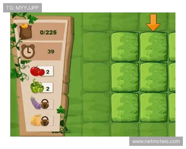 螺丝钉小游戏第六关挑战技巧与通关攻略分享